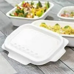 AR000121þCouvercle bagasse 400 PCS REF 170109